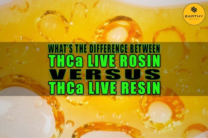What's the Difference Between THCa Live Rosin versus THCa Live Resin? | Earthy Select