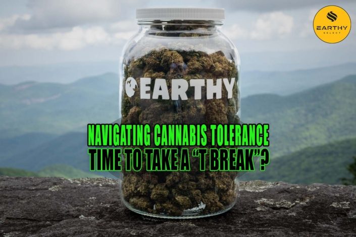 Navigating Cannabis Tolerance: Time to Take a T Break? Earthy Select