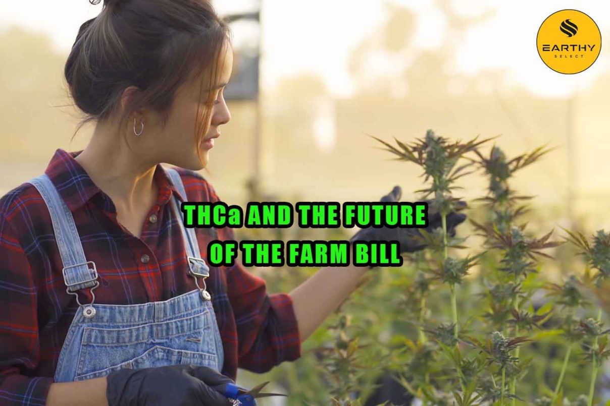 THCa and the Future of the Farm Bill Earthy Select