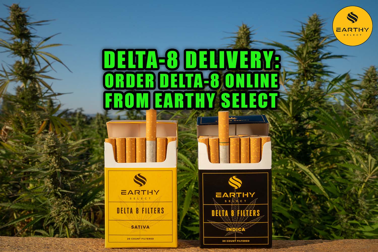 Delta-8 Delivery: Order Delta-8 online from Earthy Select