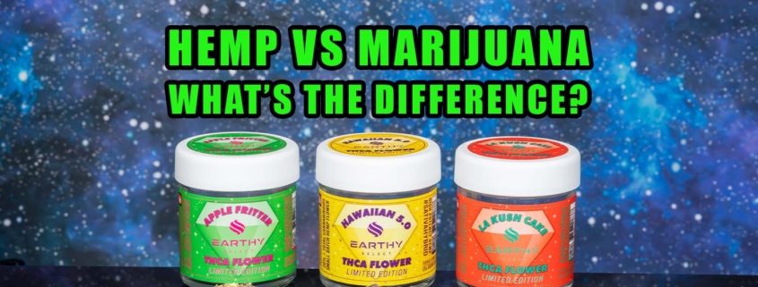 Hemp vs marijuana - what's the difference? Earthy Select. THCa flower: Apple Fritter, Hawaiian 5.0, LA Kush Cake