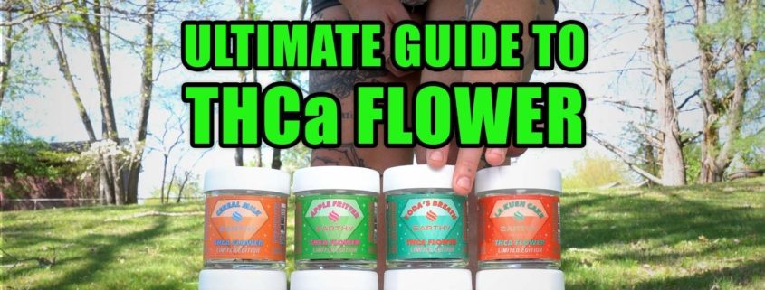 The Ultimate Guide to THCa Flower. Earthy Select strains