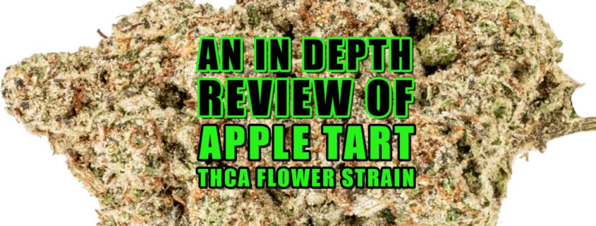 An In-depth Review of Apple Tart THCa Flower Strain. Earthy Select