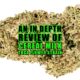 An In-depth Review of Cereal Milk THCa Flower Strain. Earthy Select