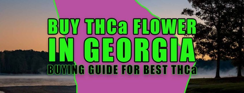 Buy THCa Flower In Georgia - Buying Guide For Best THCa. Earthy Select