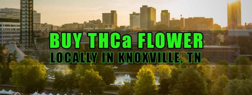 Buy THCa Flower Locally In Knoxville, Tennessee