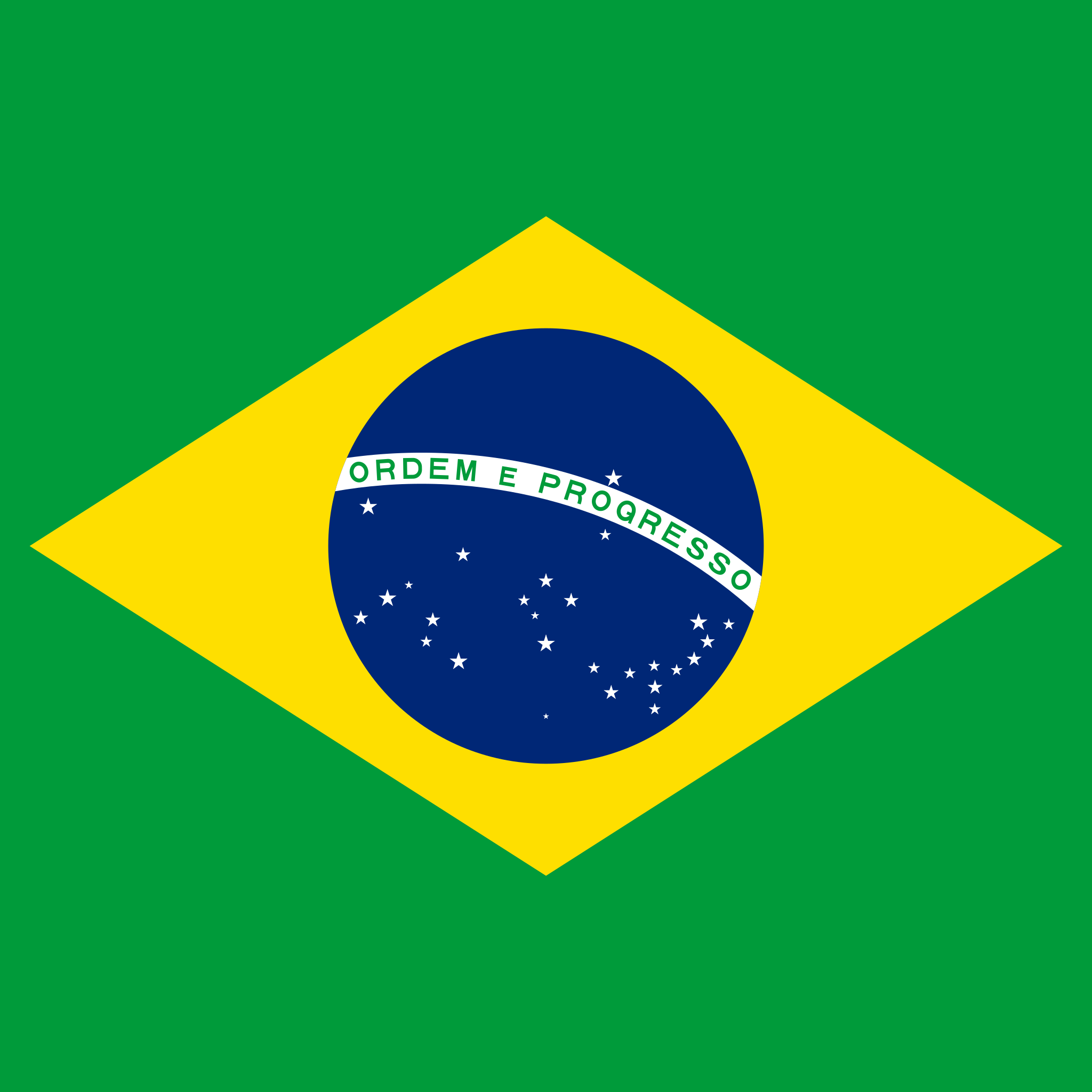 Brazilian Flag