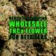 Benefits of Buying Wholesale THCa Flower for Retailers | Earthy Wholesale