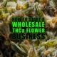 How to Start a Wholesale THCa Flower Business | Earthy Wholesale