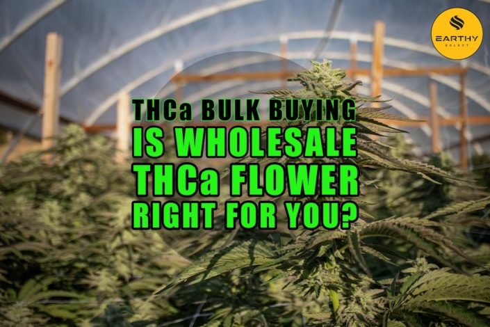 THCa Bulk Buying: Is Wholesale THCa Flower Right for You? | Earthy Select Wholesale