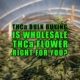 THCa Bulk Buying: Is Wholesale THCa Flower Right for You? | Earthy Select Wholesale