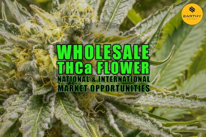 Wholesale THCa Flower: National And International Market Opportunities | Earthy Select Wholesale