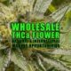 Wholesale THCa Flower: National And International Market Opportunities | Earthy Select Wholesale