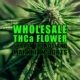 Wholesale THCa Flower: Strain Trends and Market Insights | Earthy Select Wholesale