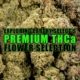 Exploring Earthy Select's Premium THCa Flower Selection | Earthy Wholesale