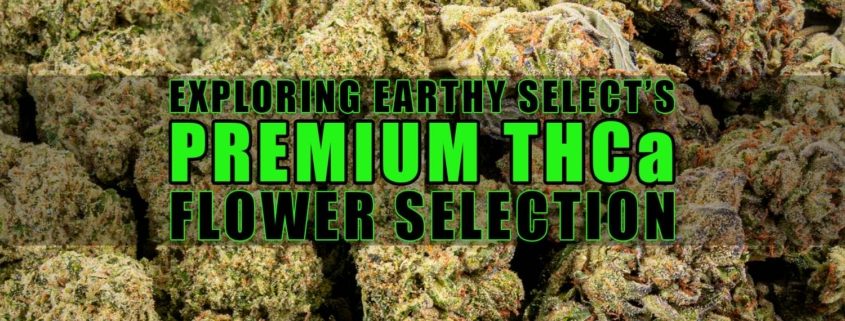 Exploring Earthy Select's Premium THCa Flower Selection | Earthy Wholesale