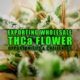 Exporting Wholesale THCa Flower: Opportunities and Challenges | Earthy Wholesale