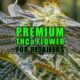 Premium THCa Flower for Retailers: Best Wholesale Strains and Products | Earthy Select Wholesale