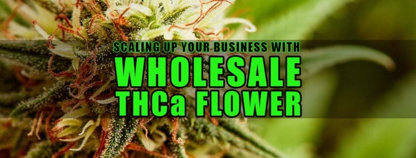 Scaling Up Your Business with Wholesale THCa Flower | Earthy Wholesale