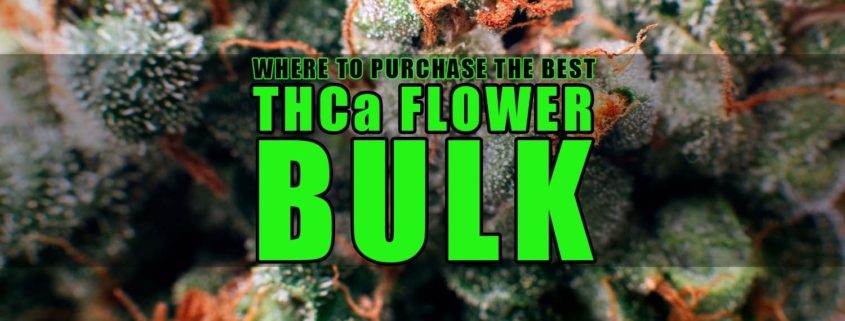 Where to Purchase the Best THCa Flower Bulk | Earthy Wholesale