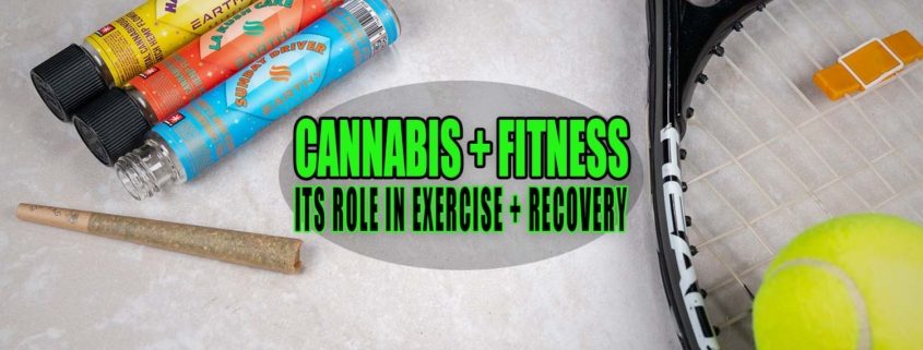 Cannabis and Fitness: Exploring Its Role in Exercise and Recovery | Earthy Select