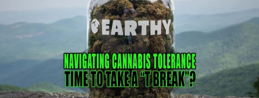 Navigating Cannabis Tolerance: Time to Take a T Break? Earthy Select