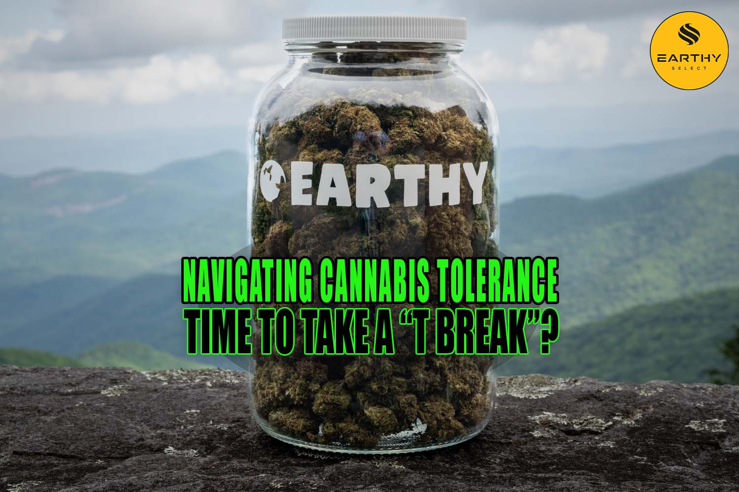 Navigating Cannabis Tolerance: Time to Take a T Break? Earthy Select