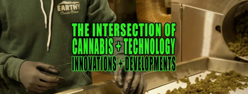 The Intersection of Cannabis and Technology: Innovations and Developments | Earthy Select