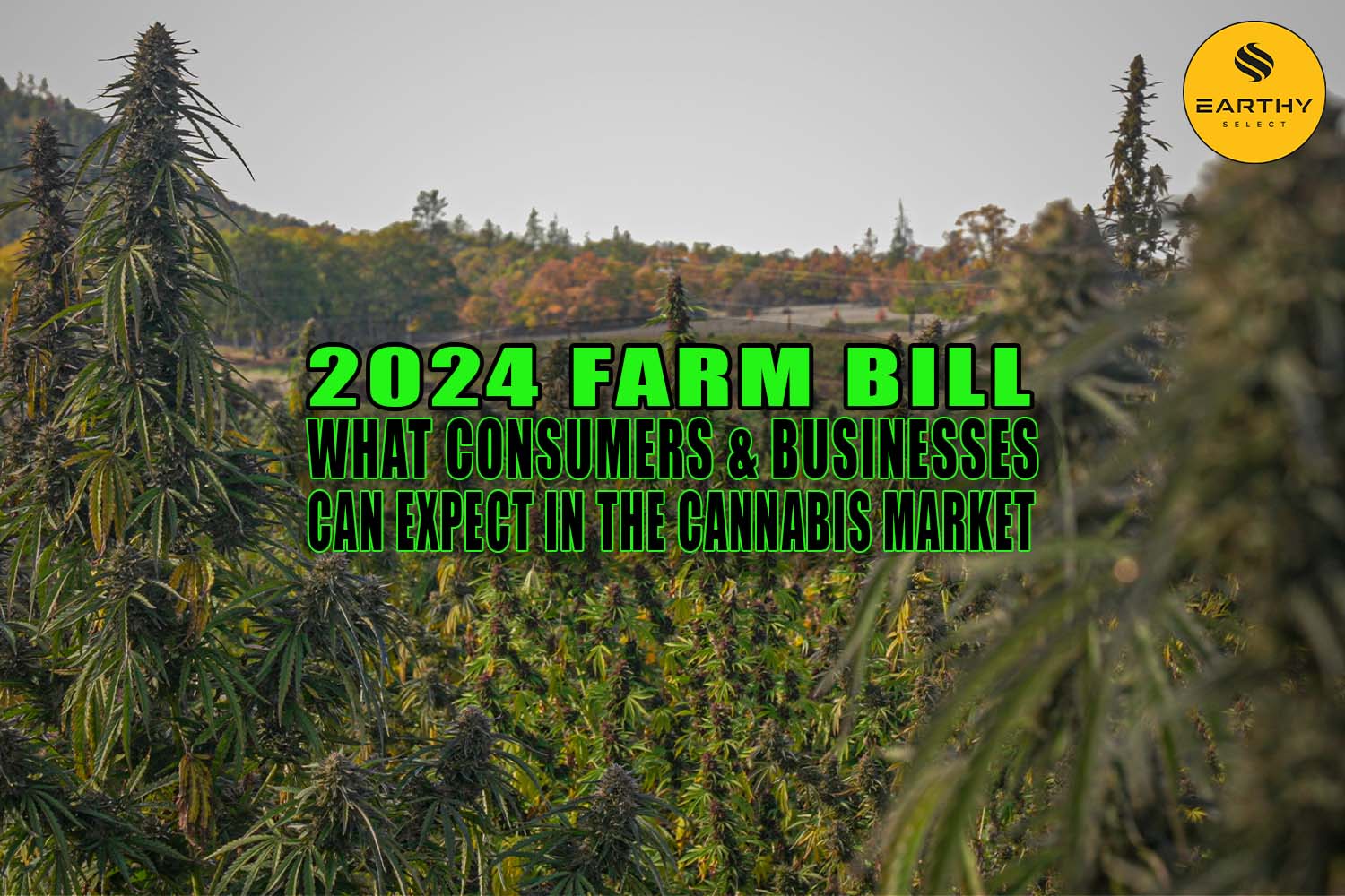 2024 Farm Bill: What Consumers and Businesses Can Expect in the Cannabis Market - Earthy Select