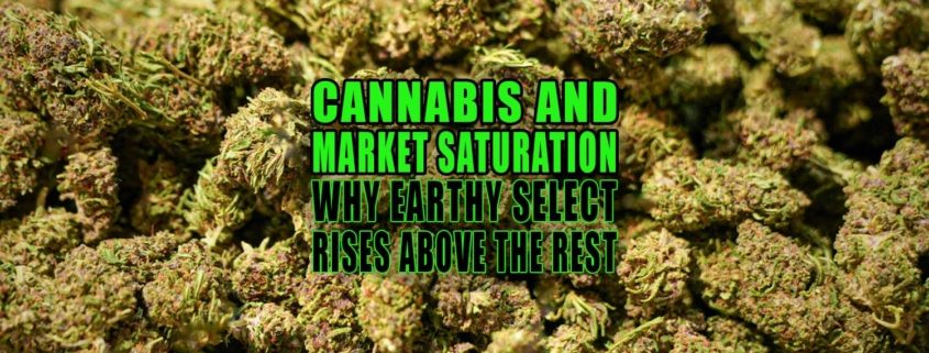 Cannabis and Market Saturation: Why Earthy Select Rises Above the Rest