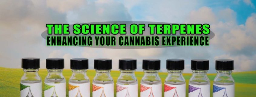 The Science of Terpenes: Enhancing Your Cannabis Experience - Earthy Select