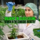 Breaking the Grass Ceiling: Women in the Cannabis Industry - Earthy Select