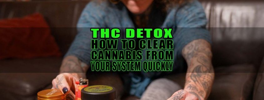 THC Detox: How to Clear Cannabis from Your System Quickly - Earthy Select