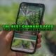 The Best Cannabis Apps: Tools for Every Weed Enthusiast - Earthy Select