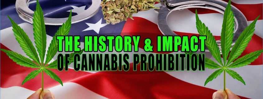 Hands hold cannabis leaves in front of American flag, cannabis buds and handcuffs. Cannabis use has been unfairly prosecuted and persecuted in the USA under prohibition. Earthy Select