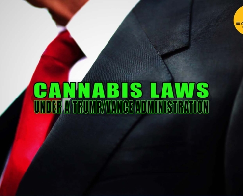 Donald Trump's tie. Cannabis Laws Under a Trump-Vance Administration - Earthy Select