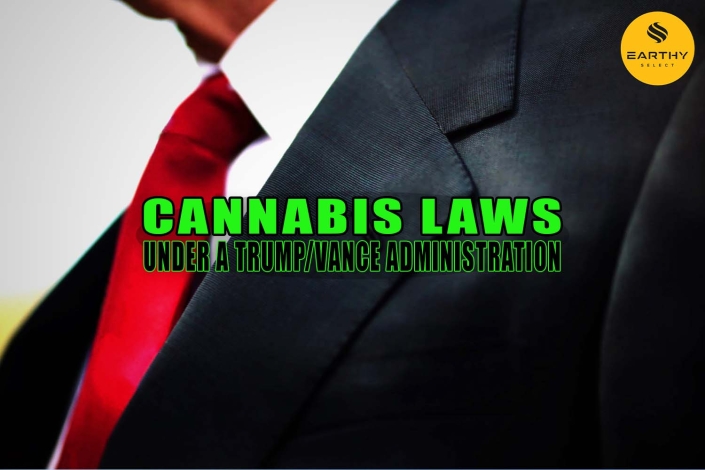 Donald Trump's tie. Cannabis Laws Under a Trump-Vance Administration - Earthy Select