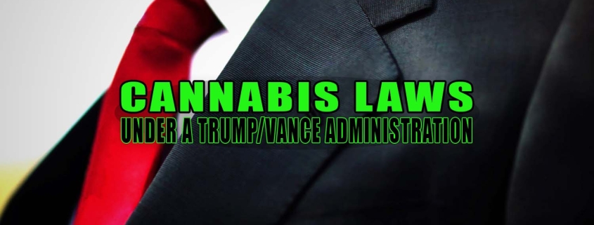 Donald Trump's tie. Cannabis Laws Under a Trump-Vance Administration - Earthy Select