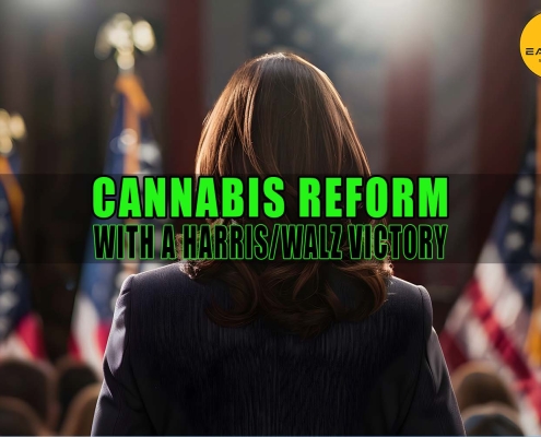 Kamala Harris at podium. Cannabis Reform with a Harris-Walz Victory - Earthy Select