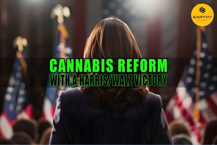 Kamala Harris at podium. Cannabis Reform with a Harris-Walz Victory - Earthy Select