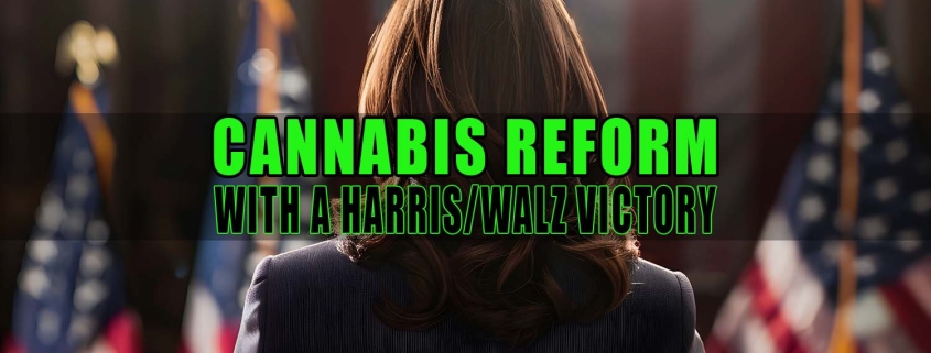 Kamala Harris at podium. Cannabis Reform with a Harris-Walz Victory - Earthy Select