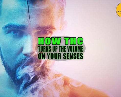 How THC Turns Up the Volume on Your Senses - Earthy Select