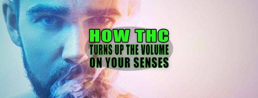 How THC Turns Up the Volume on Your Senses - Earthy Select