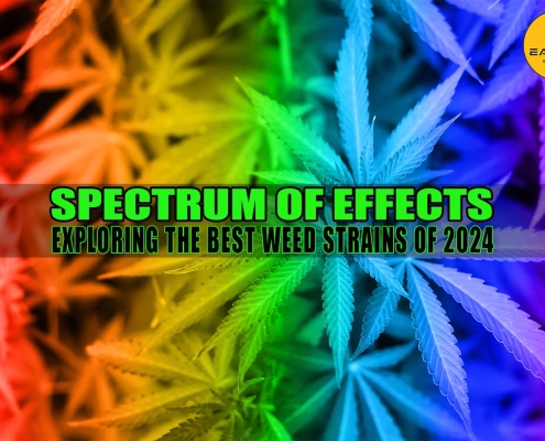 Spectrum of Effects: Exploring the Best Weed Strains 2024 | Earthy Select