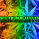 Spectrum of Effects: Exploring the Best Weed Strains 2024 | Earthy Select