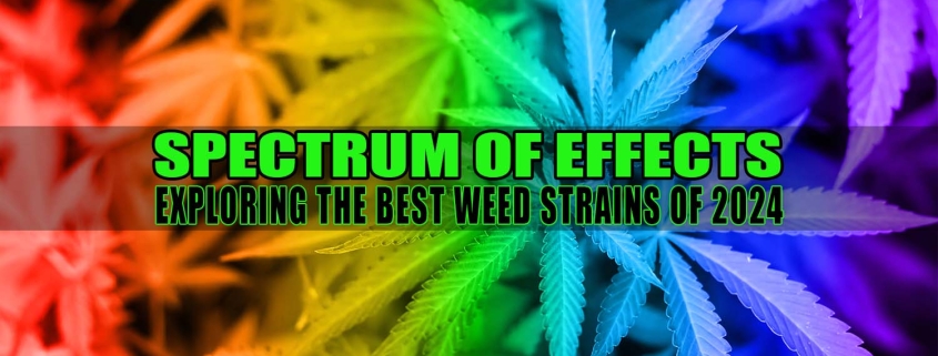 Spectrum of Effects: Exploring the Best Weed Strains 2024 | Earthy Select