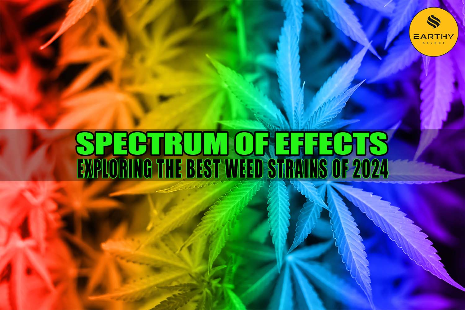 Spectrum of Effects: Exploring the Best Weed Strains 2024 | Earthy Select