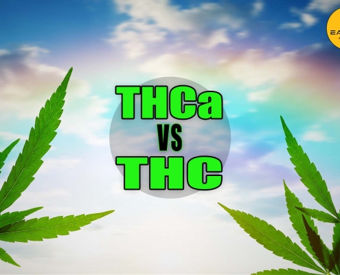 THCa vs THC - Earthy Select