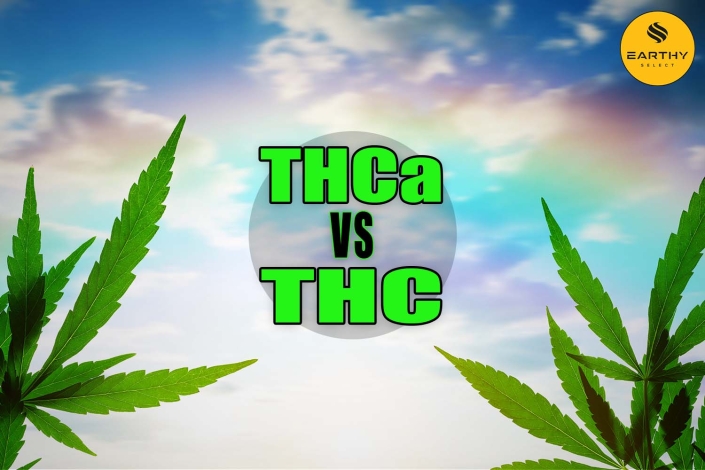 THCa vs THC - Earthy Select